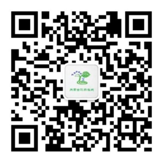 拉斯维加斯9888(中国游)官方网站